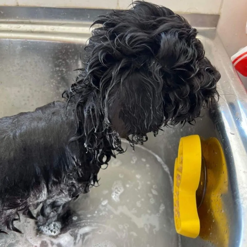 All For Paws Calming Pals Anti-Anxiety Bath Duck