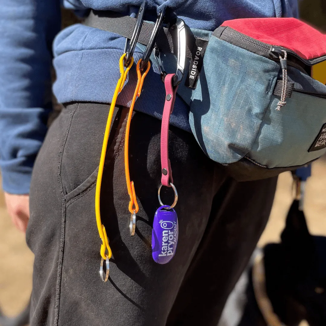 BioThane Clicker Strap