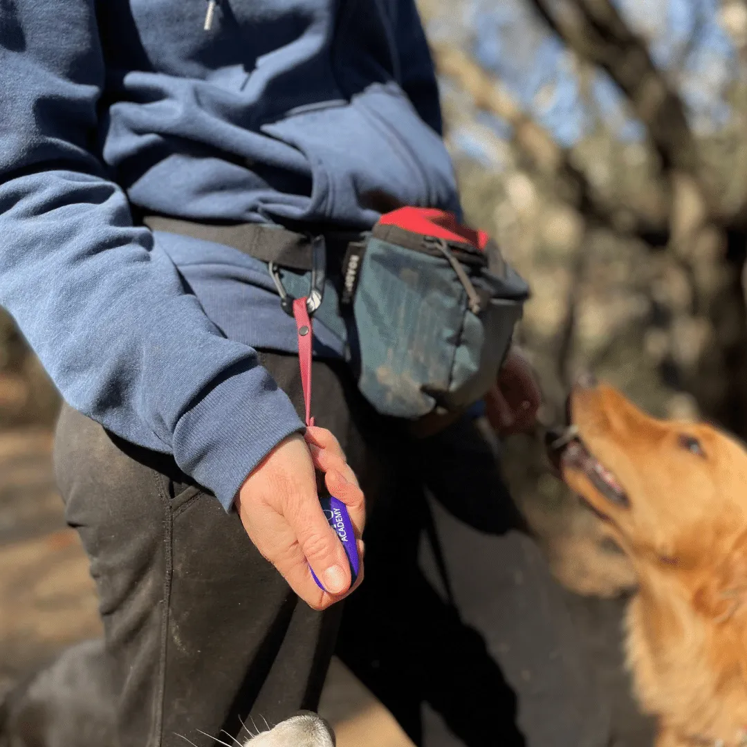 BioThane Clicker Strap