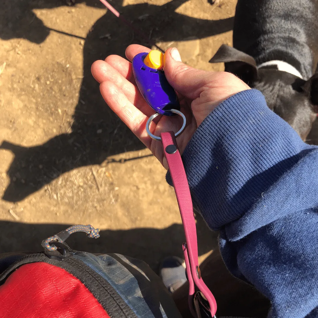 BioThane Clicker Strap