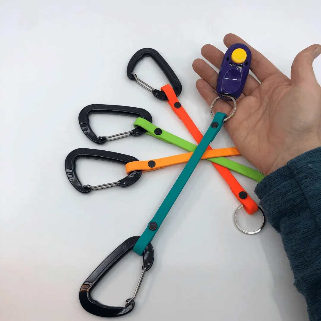 BioThane Clicker Strap