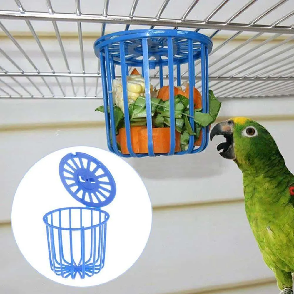 Bird's Cage Design Feeder