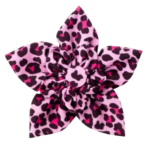 Collar Flower | Leopard Pink