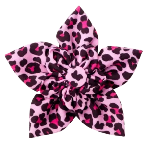 Collar Flower | Pink Leopard Print