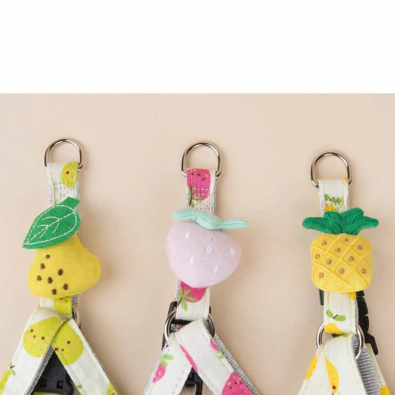 Fruit Series Dog Collar