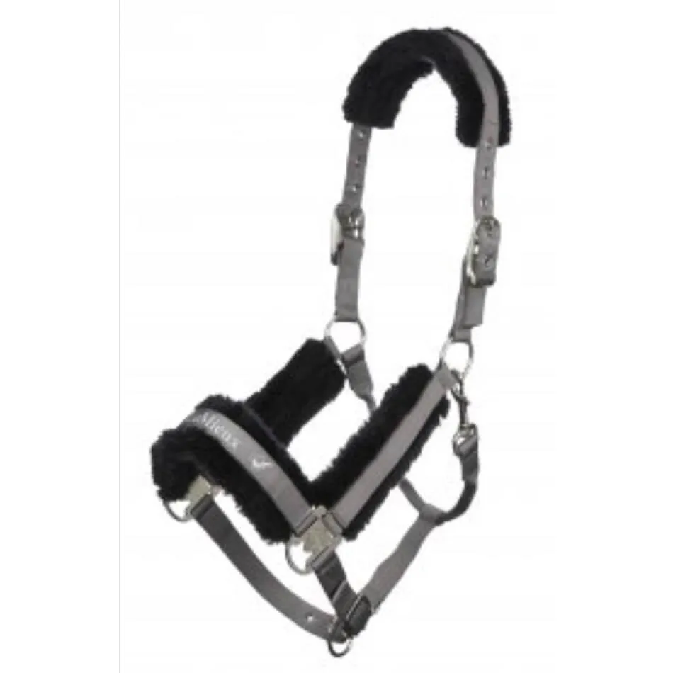 LeMieux Loire Headcollar *Discontinued*