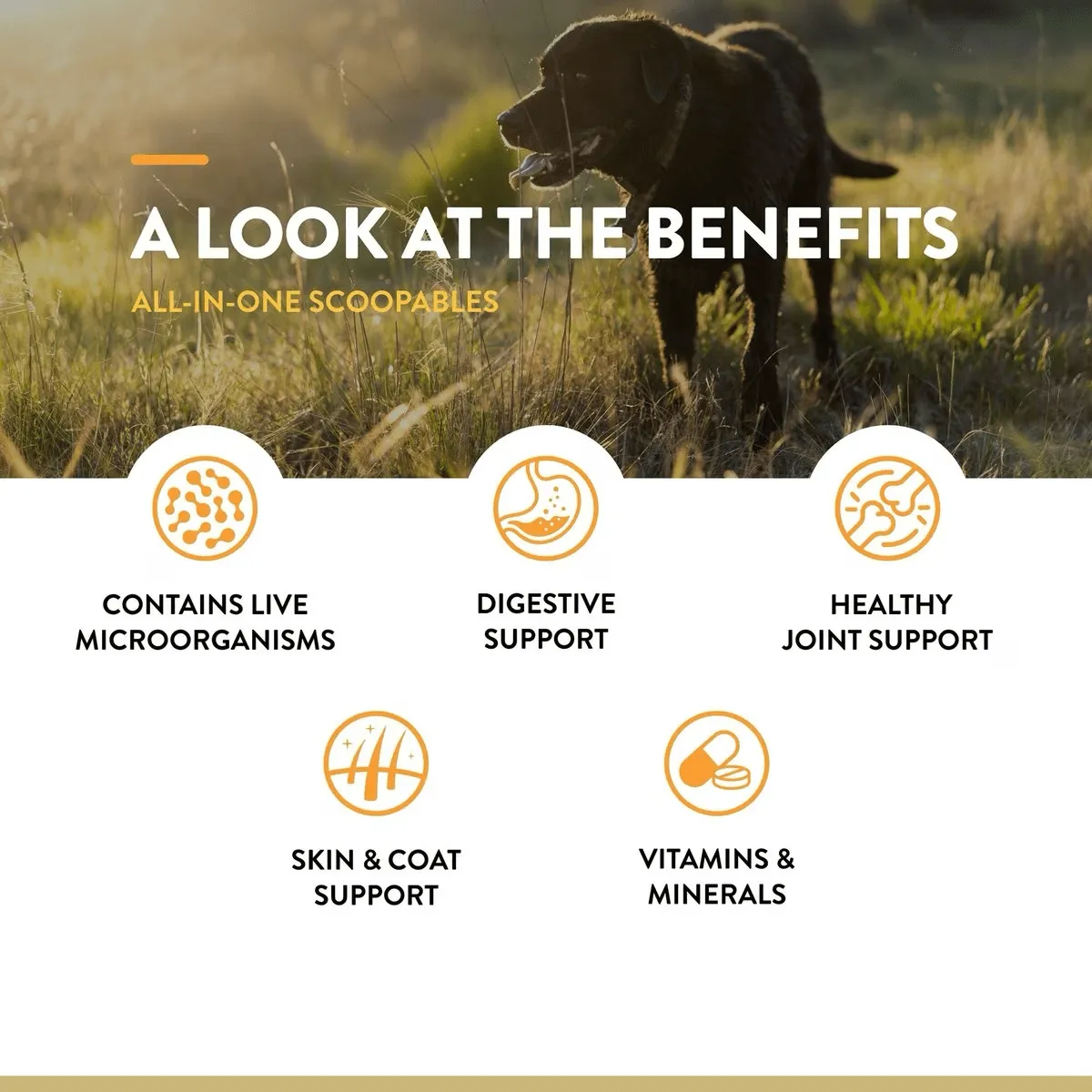 NaturVet Scoopables All-In-One 4-in-1 Support Dog Supplement