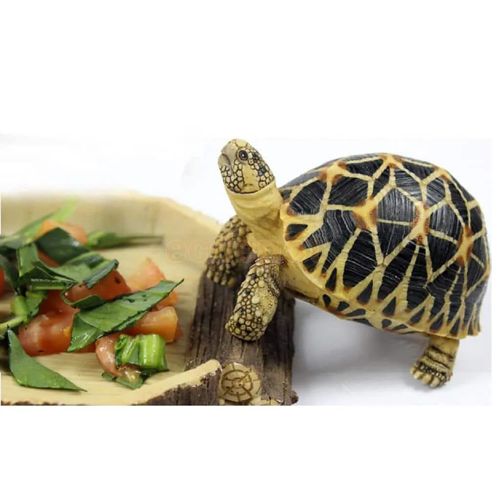Reptiles & Amphibians Feeding Bowl